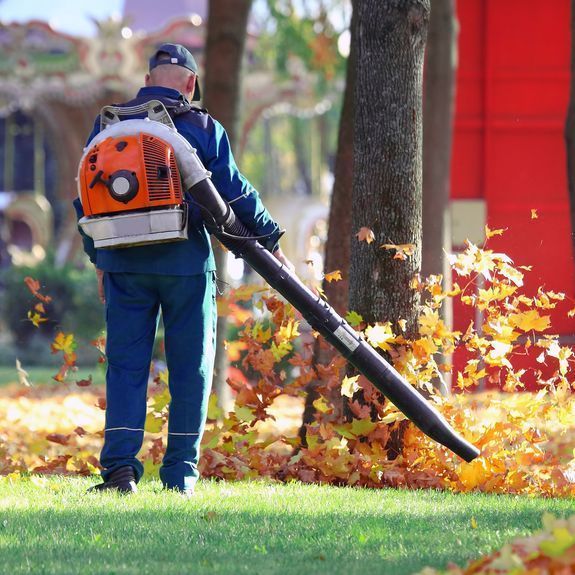 Yard Clean Ups